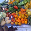 FreshProvisions-04