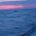 SeaDragon Delivery-298