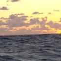SeaDragon Delivery-314